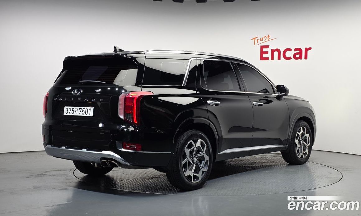 Hyundai Palisade 1st Gen фото 2