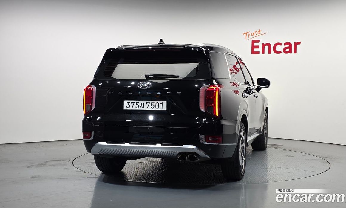 Hyundai Palisade 1st Gen фото 4