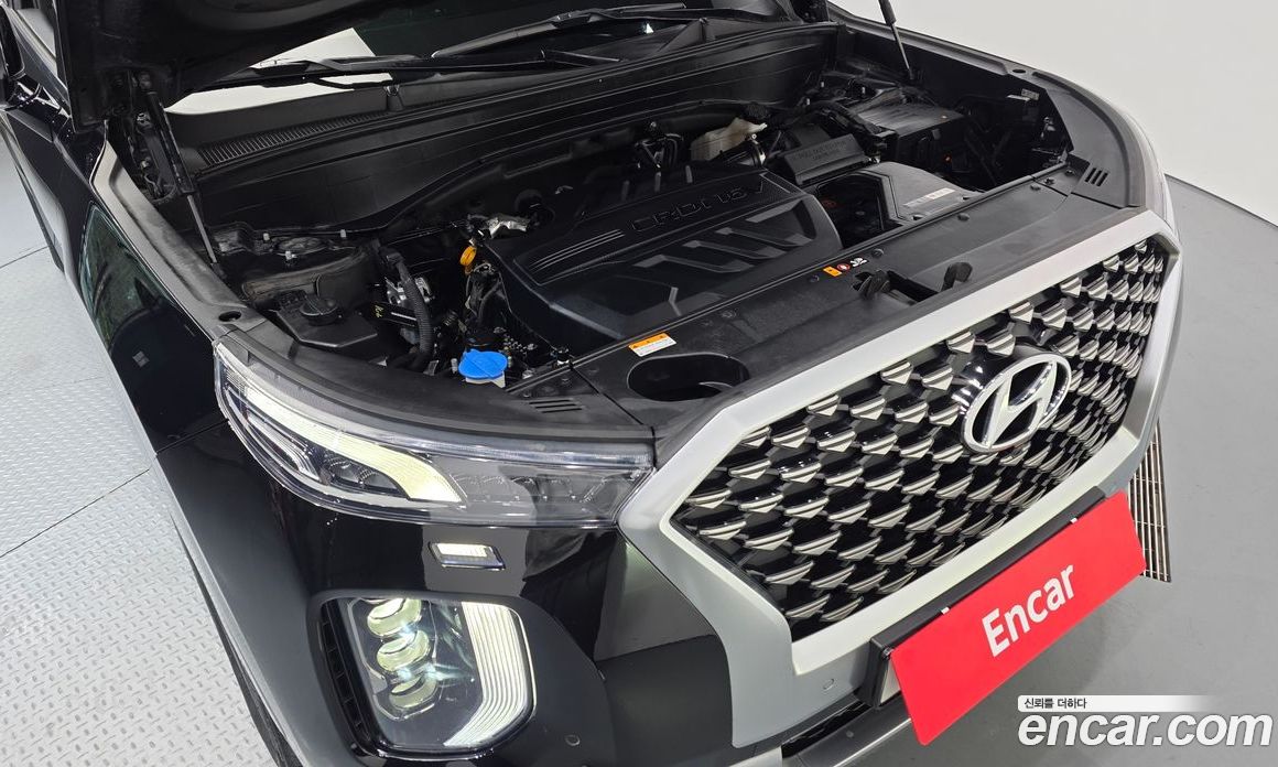 Hyundai Palisade 1st Gen фото 6