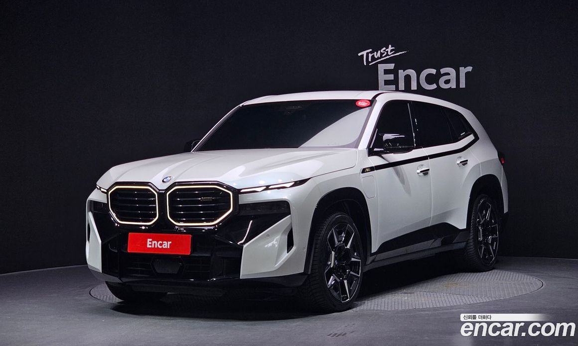 BMW XM (G09)