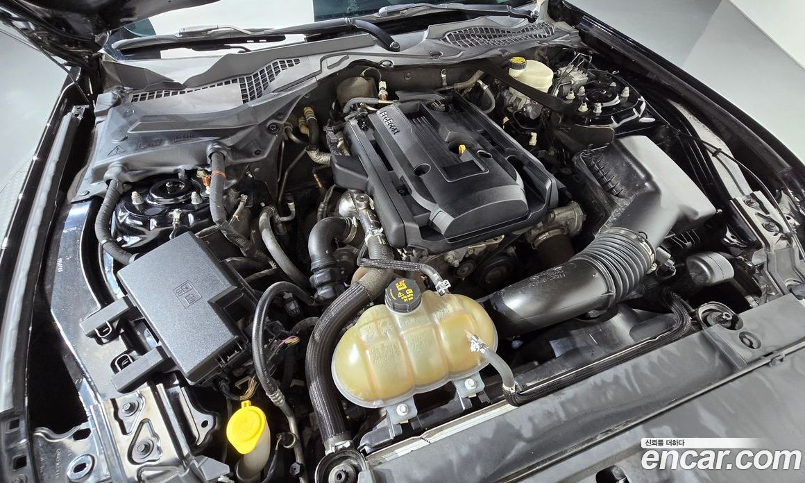 Ford Mustang фото 6
