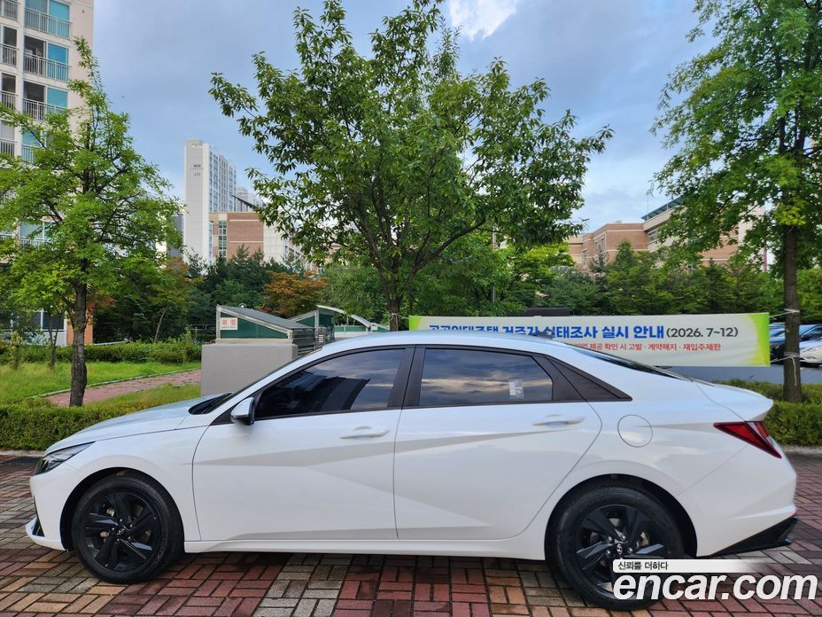 Hyundai Avante (CN7) фото 3
