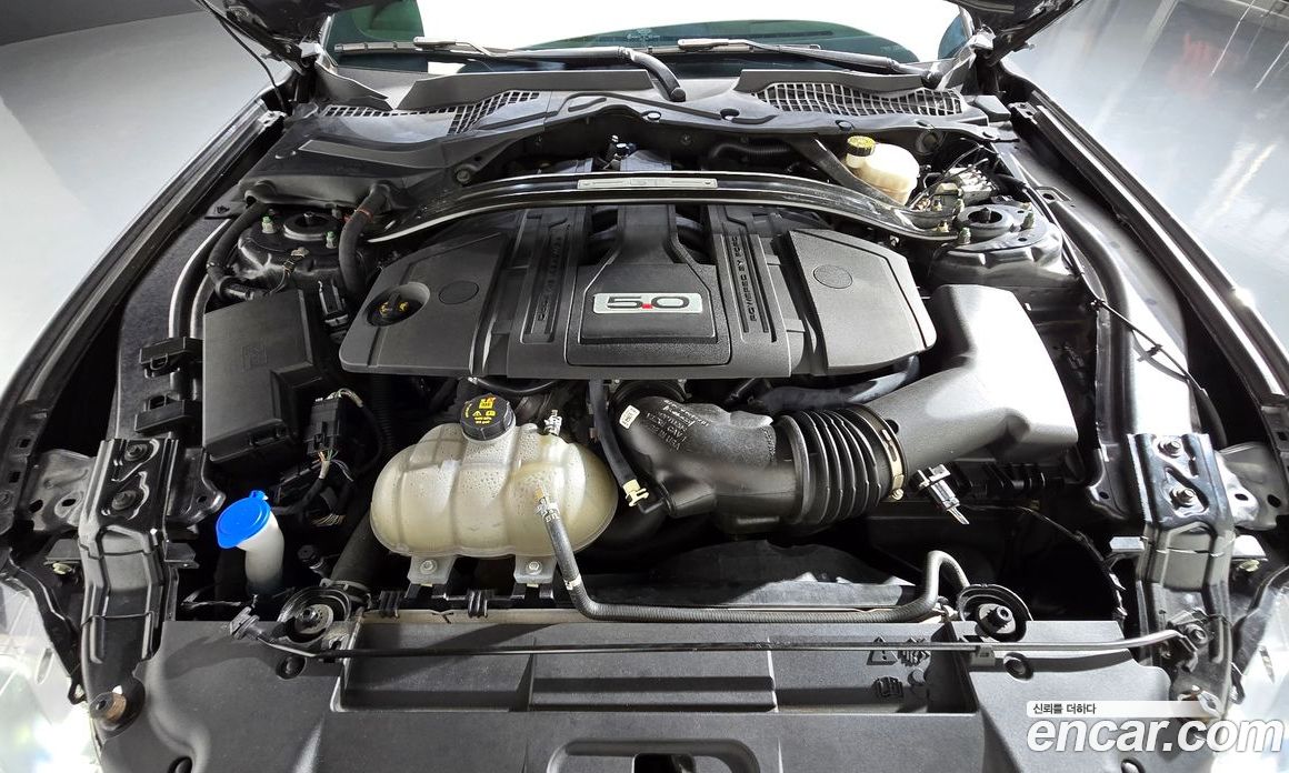 Ford Mustang фото 6
