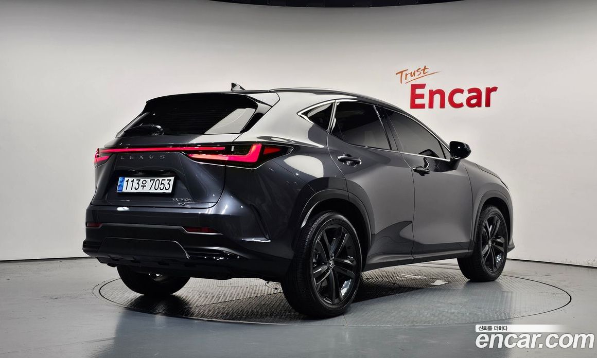 Lexus NX350h 2nd Gen фото 2