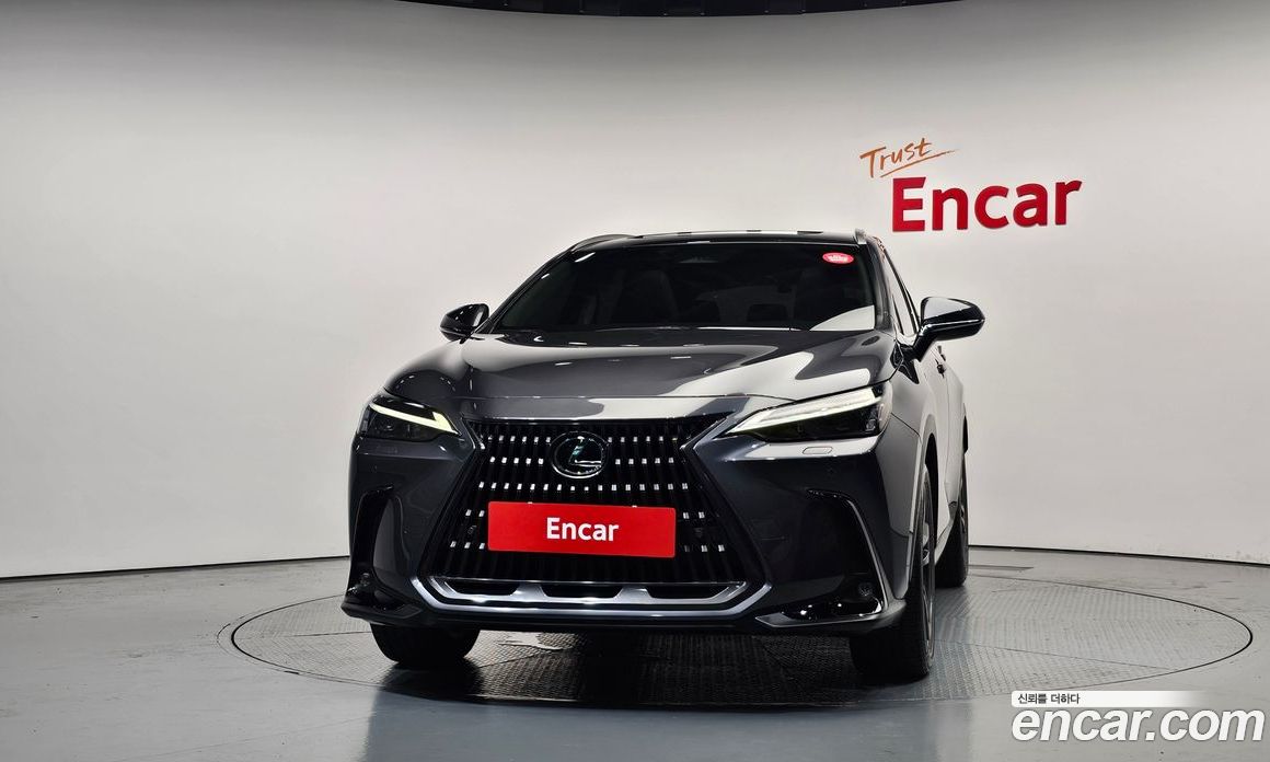 Lexus NX350h 2nd Gen фото 3