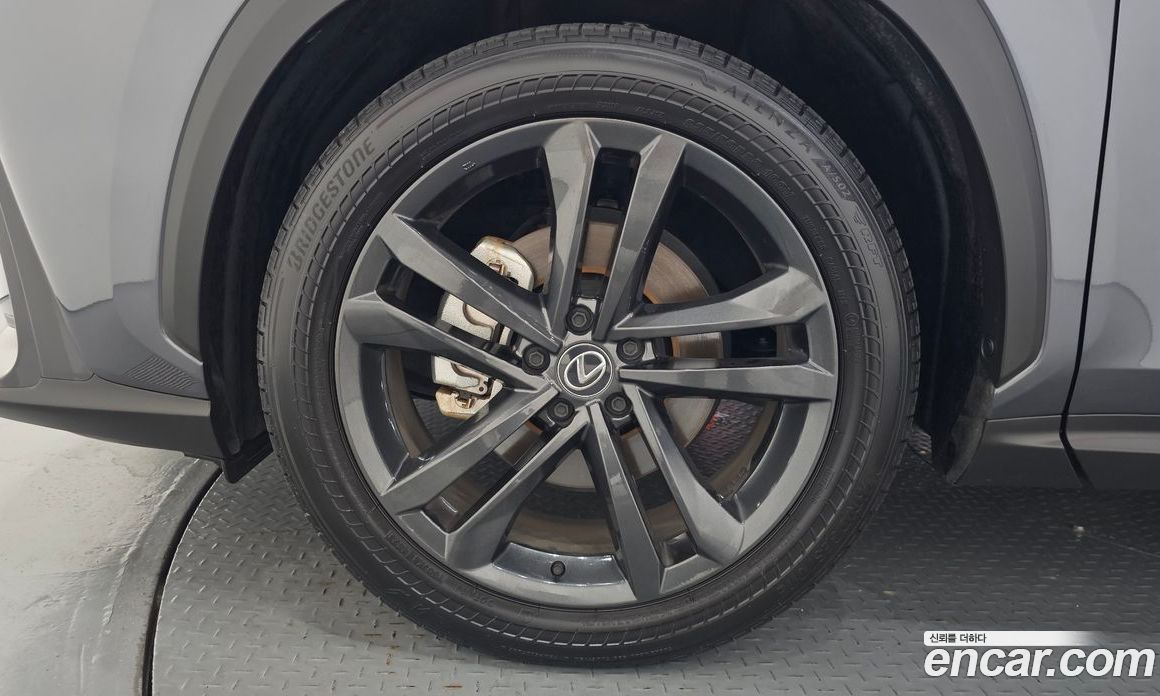 Lexus NX350h 2nd Gen фото 5