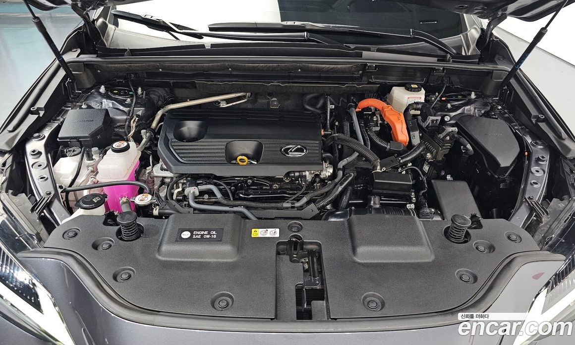 Lexus NX350h 2nd Gen фото 6