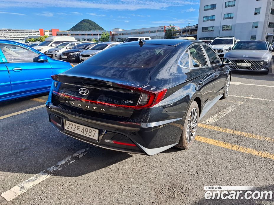 Hyundai Sonata Hybrid (DN8) фото 2