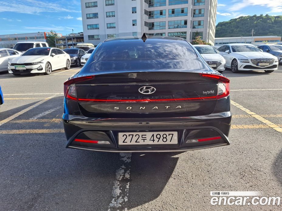 Hyundai Sonata Hybrid (DN8) фото 4