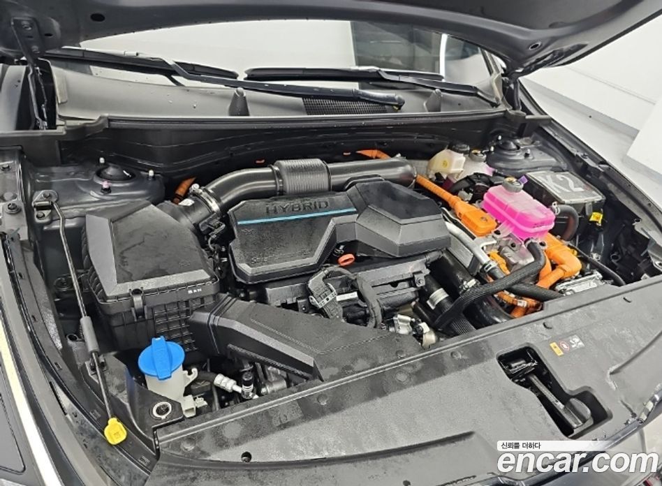 Kia Sportage 5th Gen Hybrid фото 5