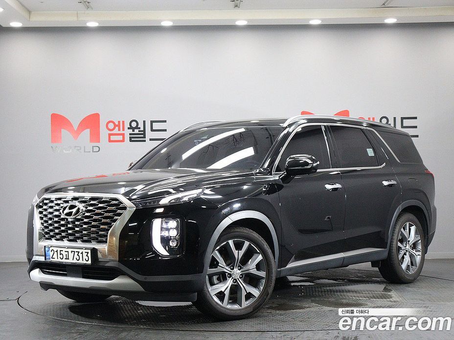 Hyundai Palisade 1st Gen фото 2