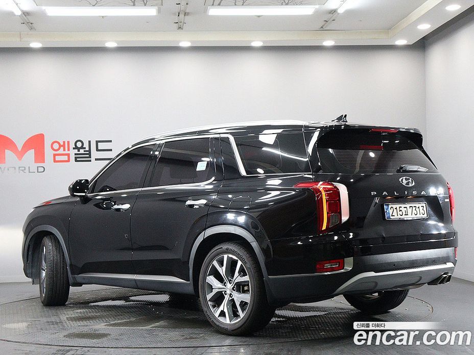 Hyundai Palisade 1st Gen фото 3