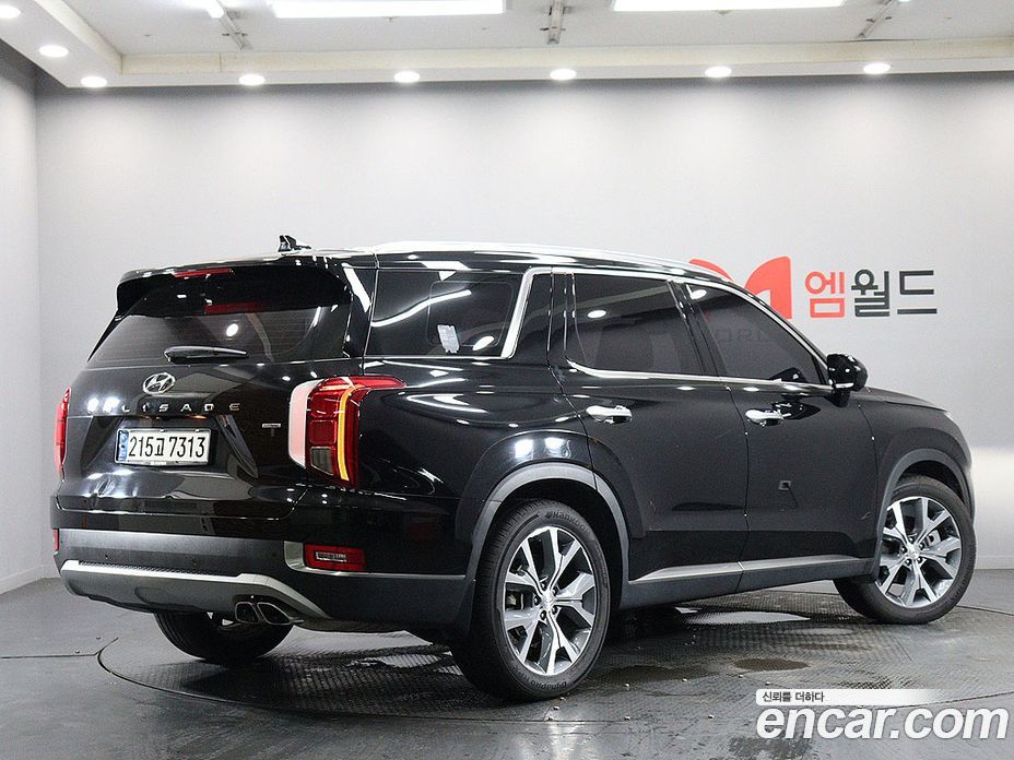 Hyundai Palisade 1st Gen фото 4