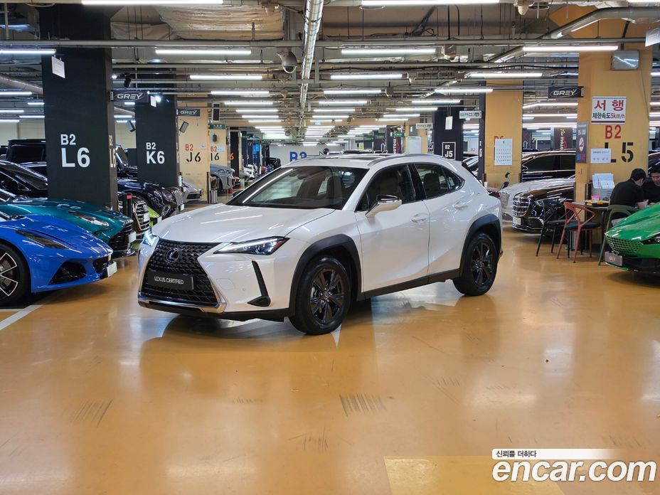 Lexus UX300h
