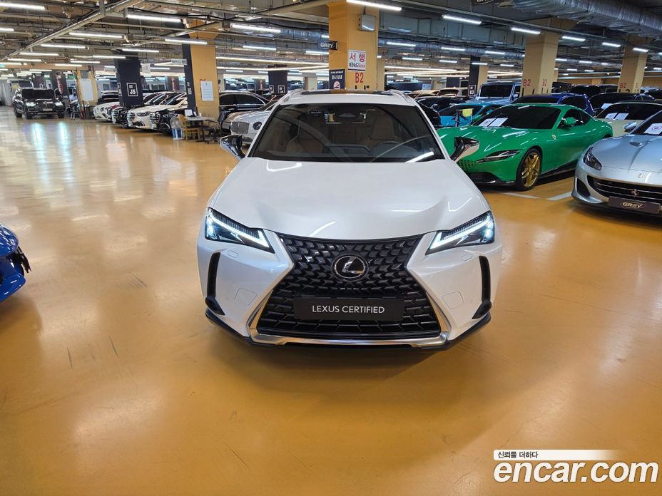 Lexus UX300h фото 3