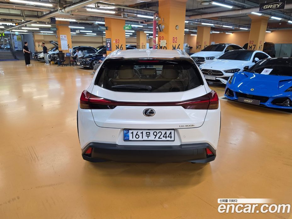 Lexus UX300h фото 4
