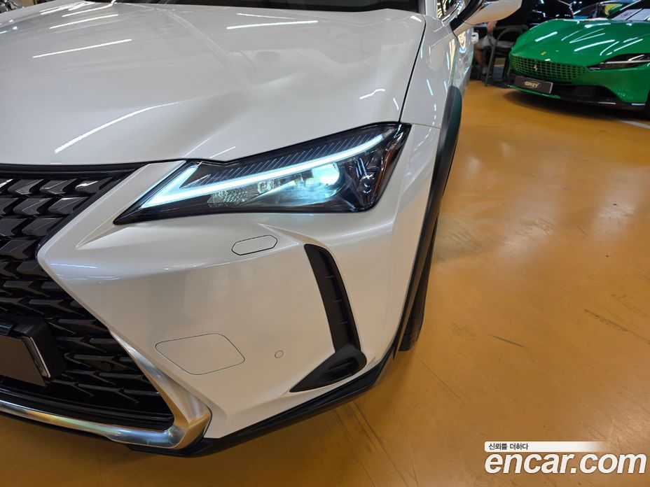 Lexus UX300h фото 17