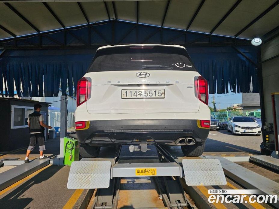 Hyundai Palisade 1st Gen фото 2