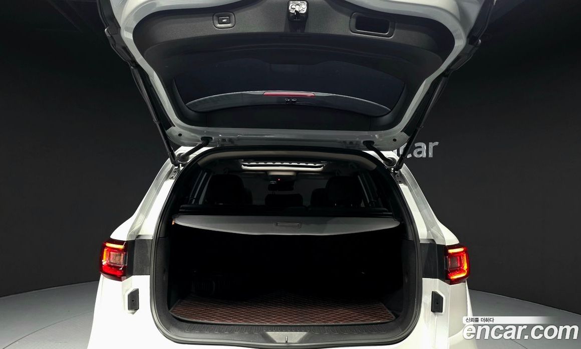 Renault Korea (Samsung) QM6 фото 19