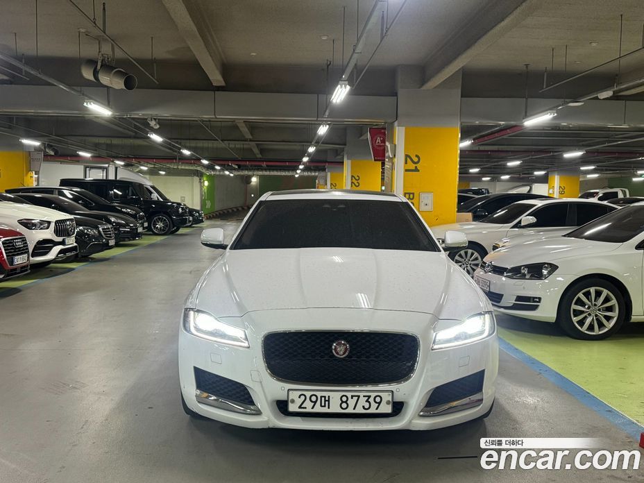 Jaguar XF (X260)
