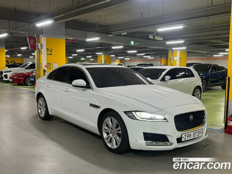 Jaguar XF (X260) фото 2