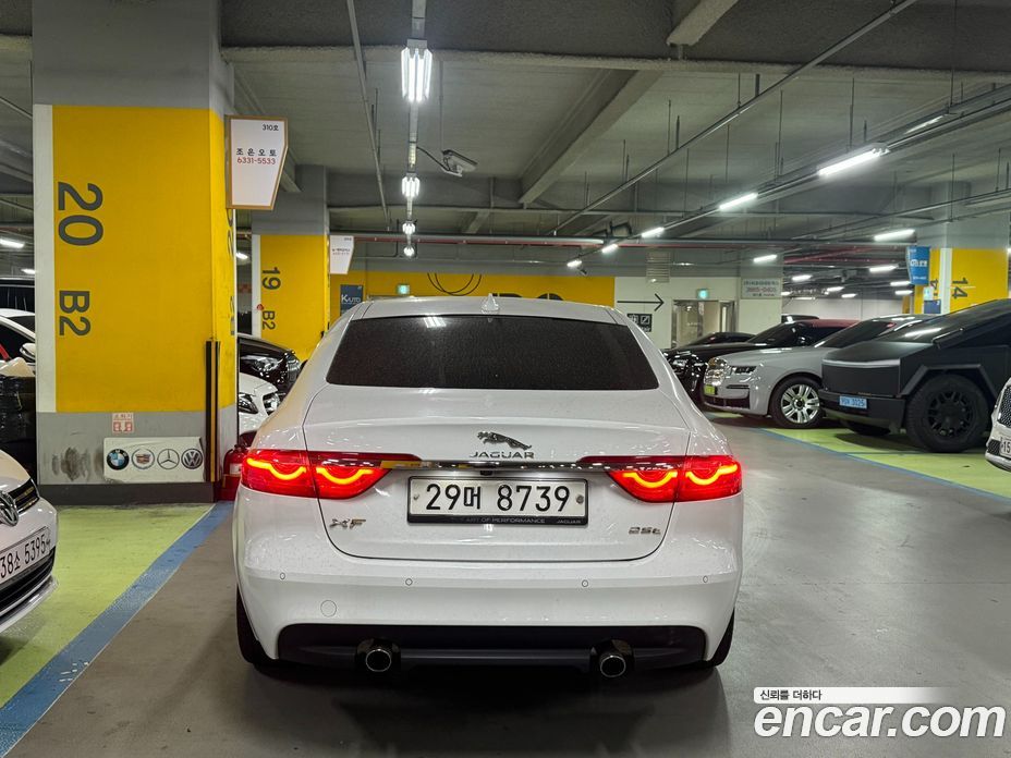 Jaguar XF (X260) фото 3
