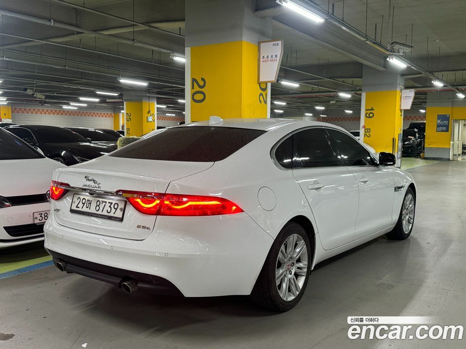 Jaguar XF (X260) фото 4