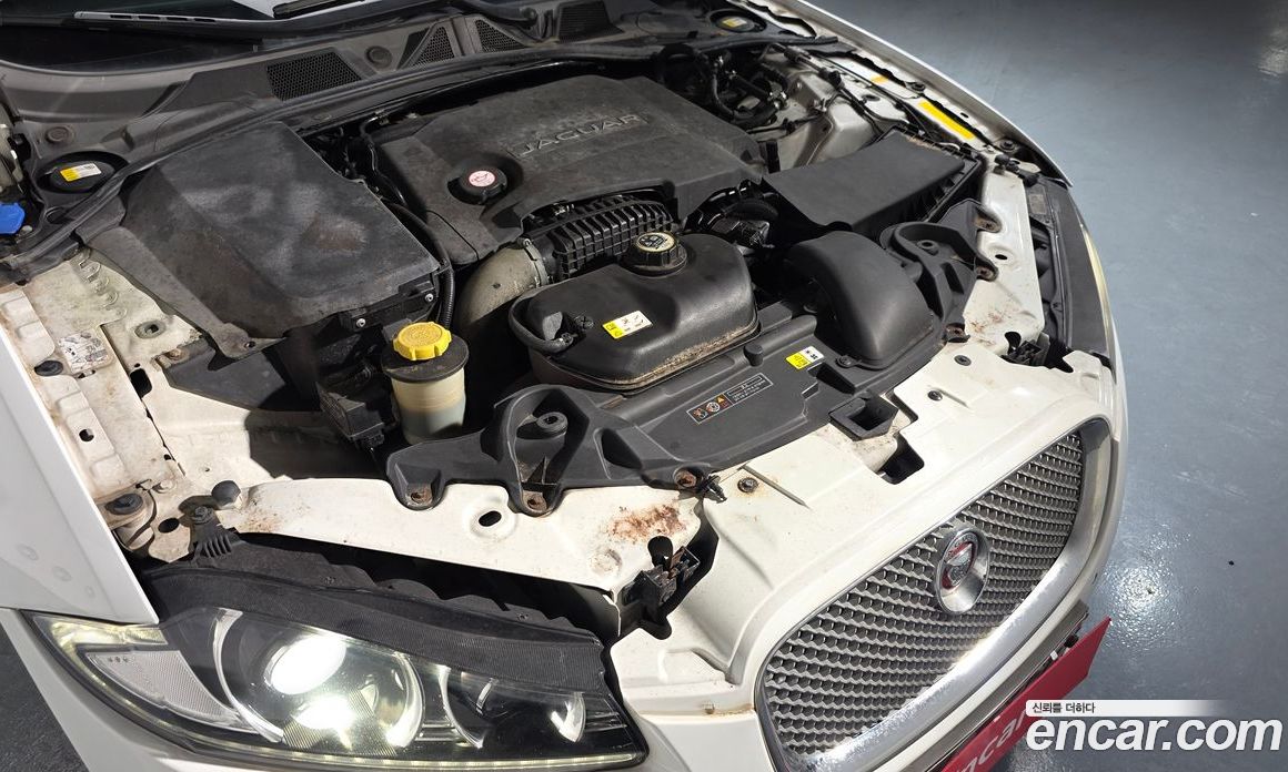 Jaguar XF New фото 6