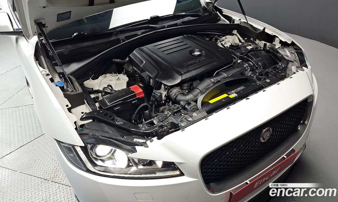 Jaguar F-PACE фото 6