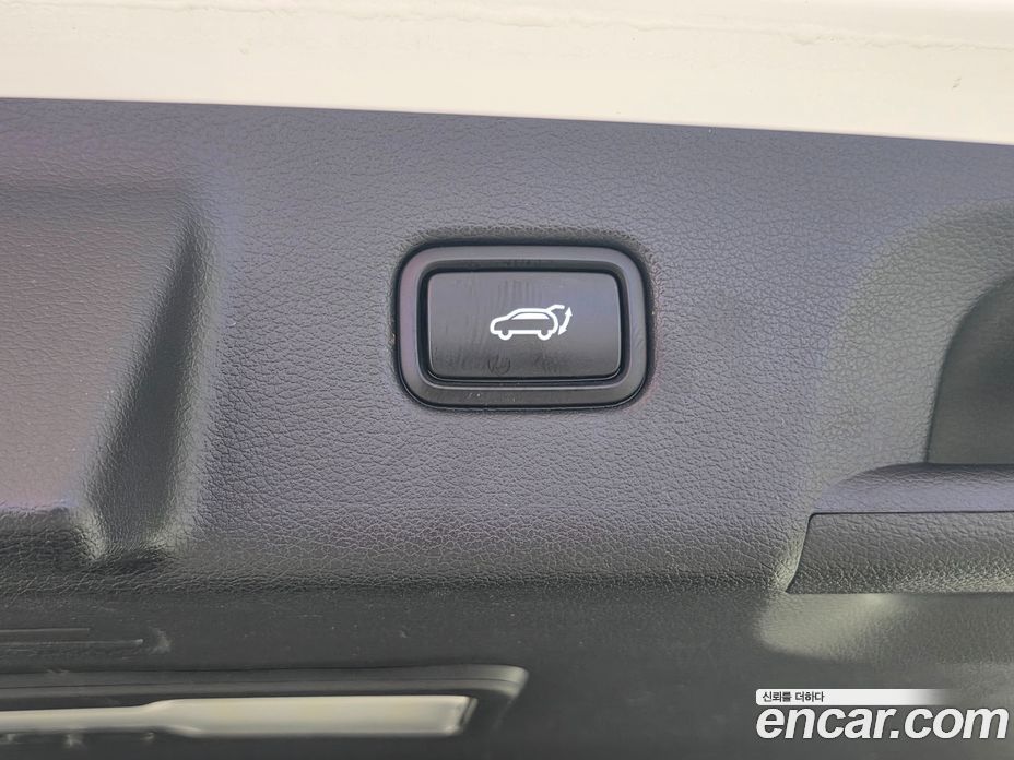 Hyundai Palisade 1st Gen фото 19