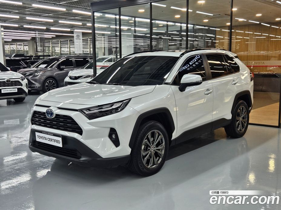 Toyota RAV4 5th Gen