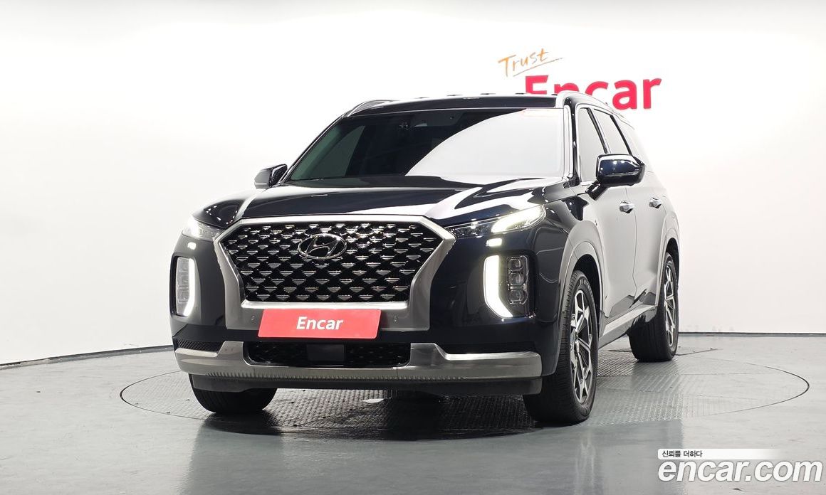 Hyundai Palisade 1st Gen фото 2