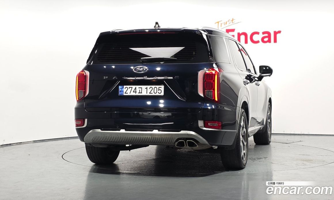 Hyundai Palisade 1st Gen фото 3
