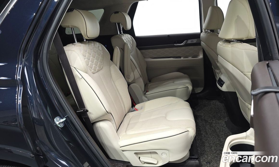 Hyundai Palisade 1st Gen фото 11