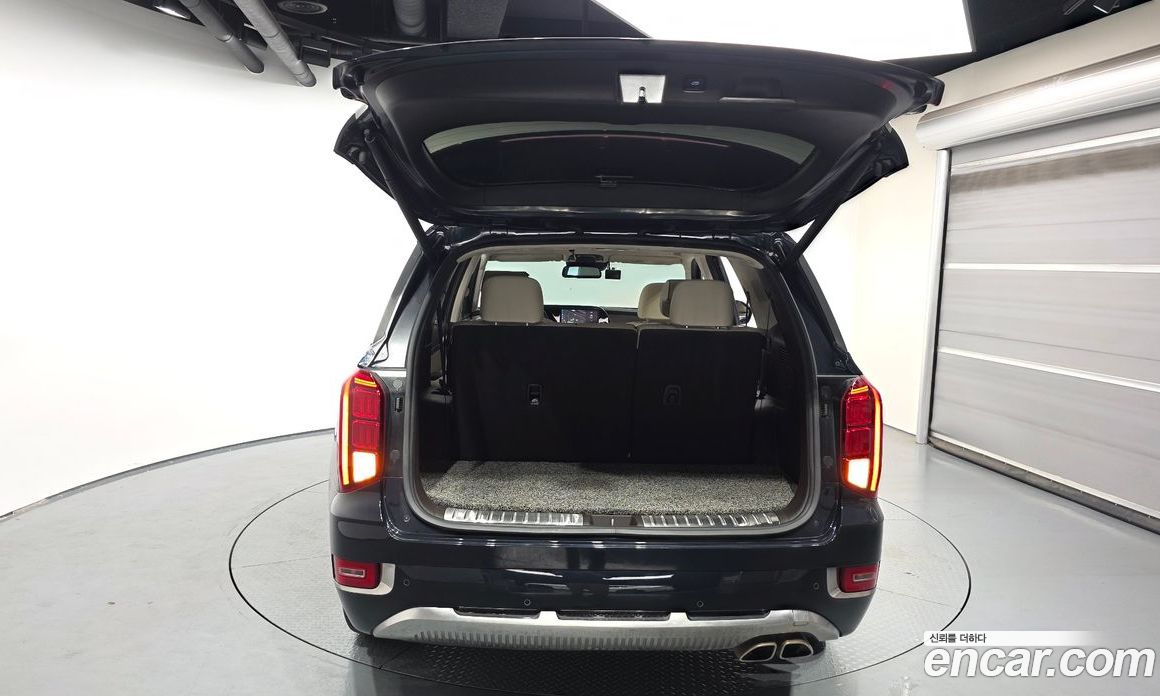 Hyundai Palisade 1st Gen фото 19