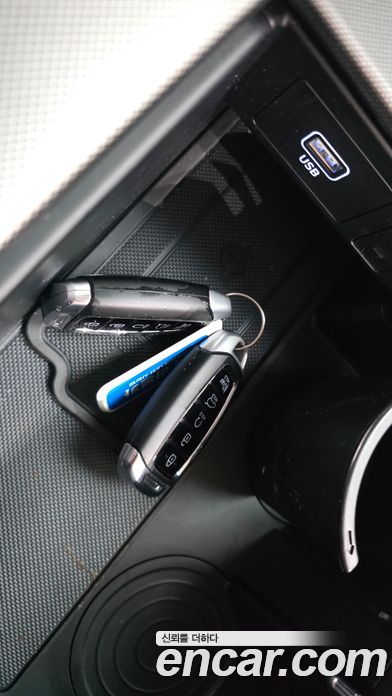 Hyundai Palisade 1st Gen фото 33