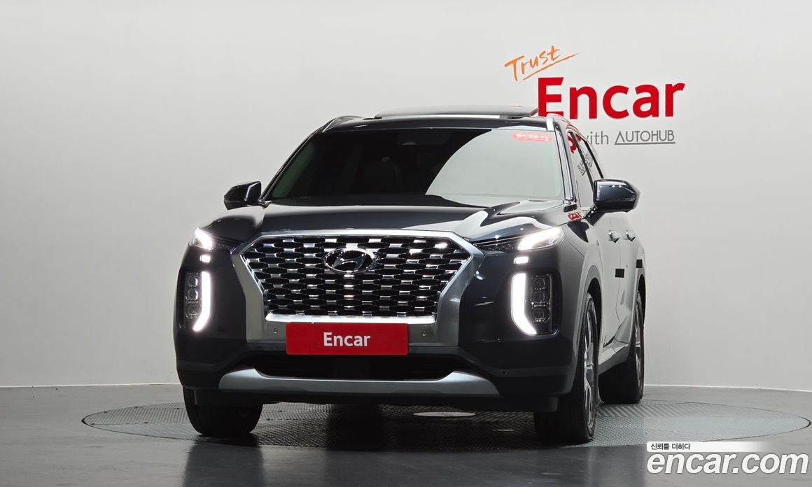 Hyundai Palisade 1st Gen фото 2