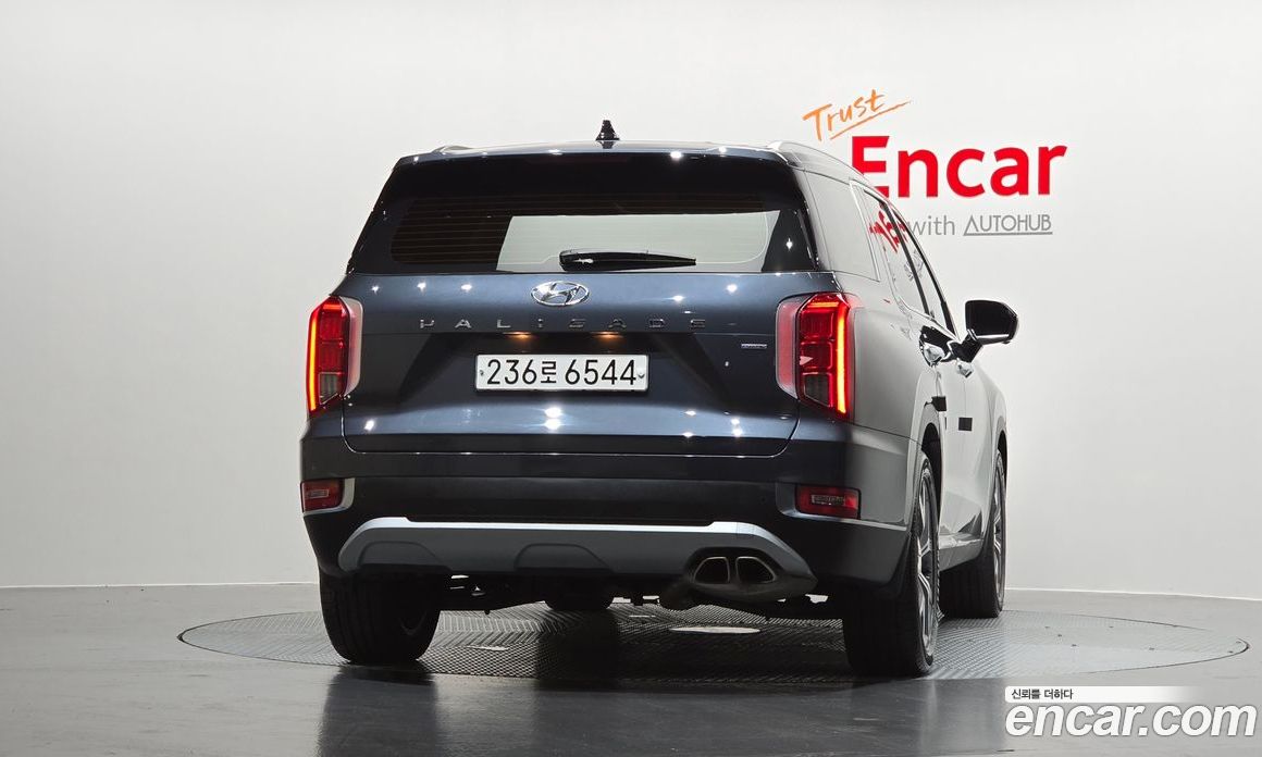 Hyundai Palisade 1st Gen фото 3
