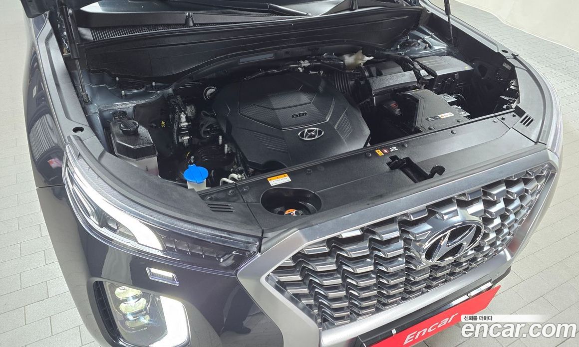 Hyundai Palisade 1st Gen фото 5