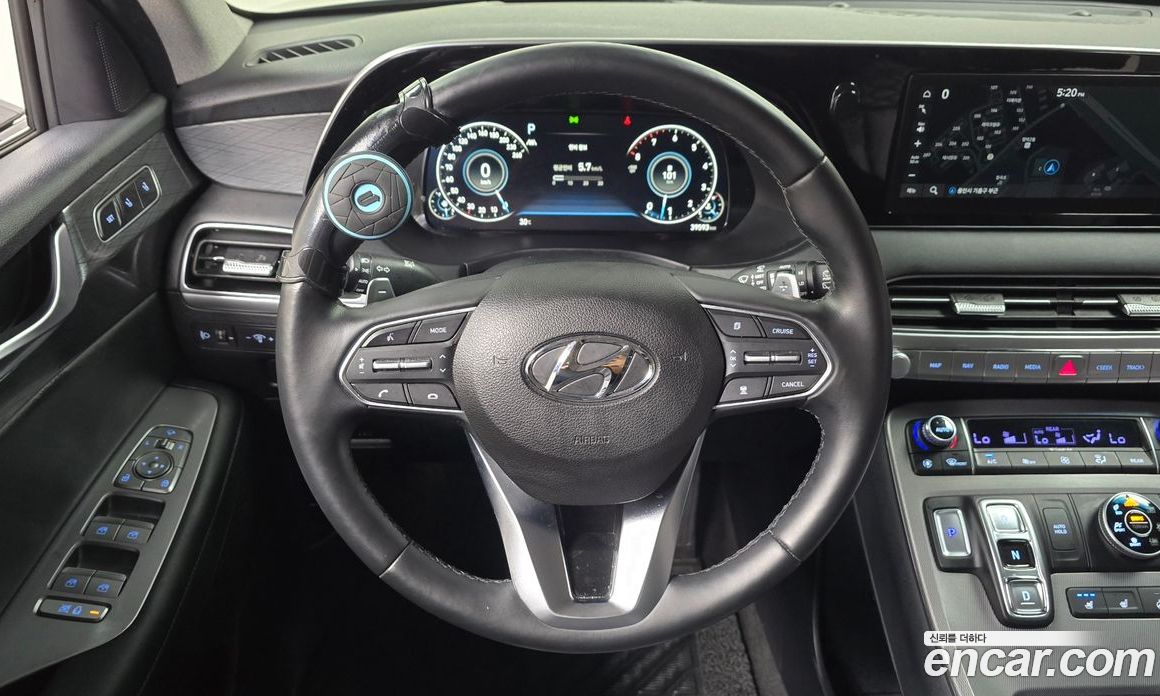 Hyundai Palisade 1st Gen фото 11