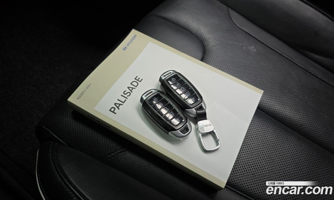 Hyundai Palisade 1st Gen фото 16