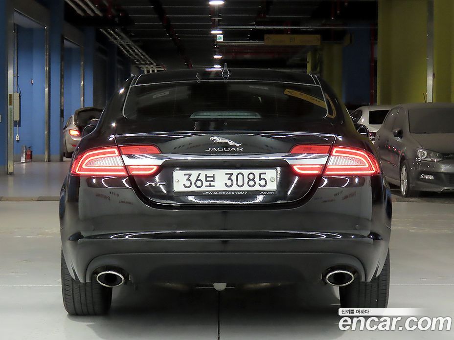 Jaguar XF New фото 3