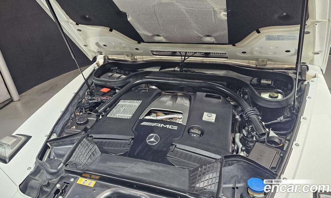 Mercedes-Benz G-Class W463b фото 6