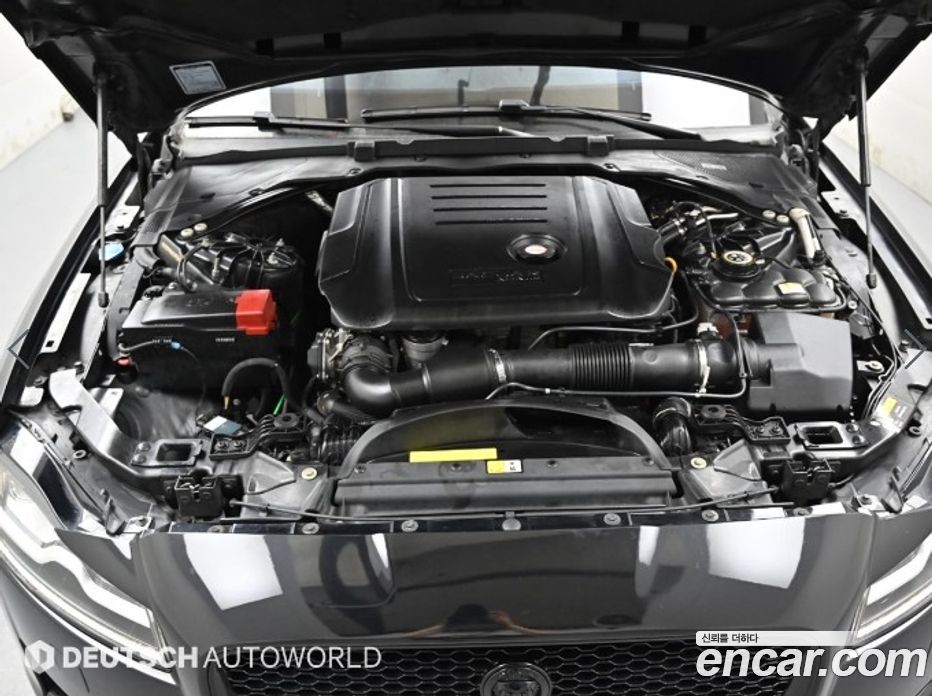 Jaguar XF (X260) фото 6