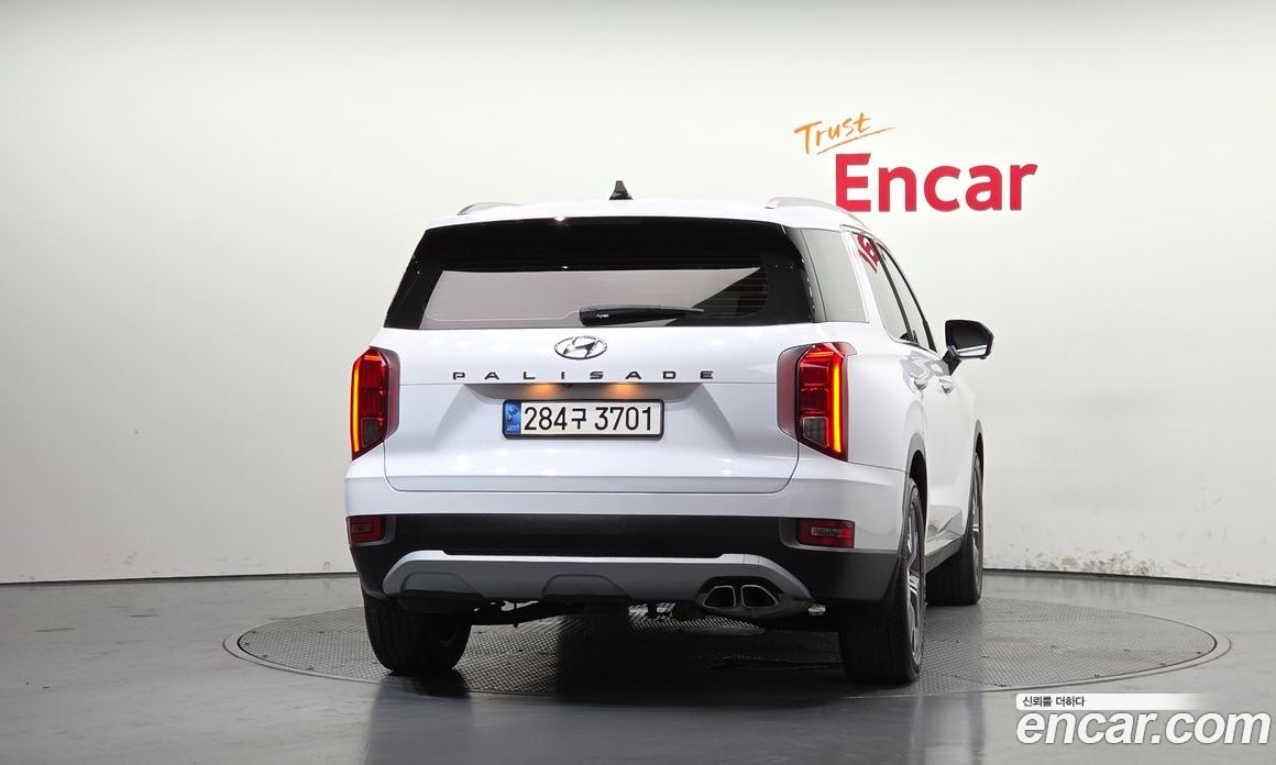 Hyundai Palisade 1st Gen фото 4