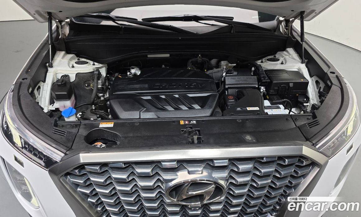 Hyundai Palisade 1st Gen фото 6