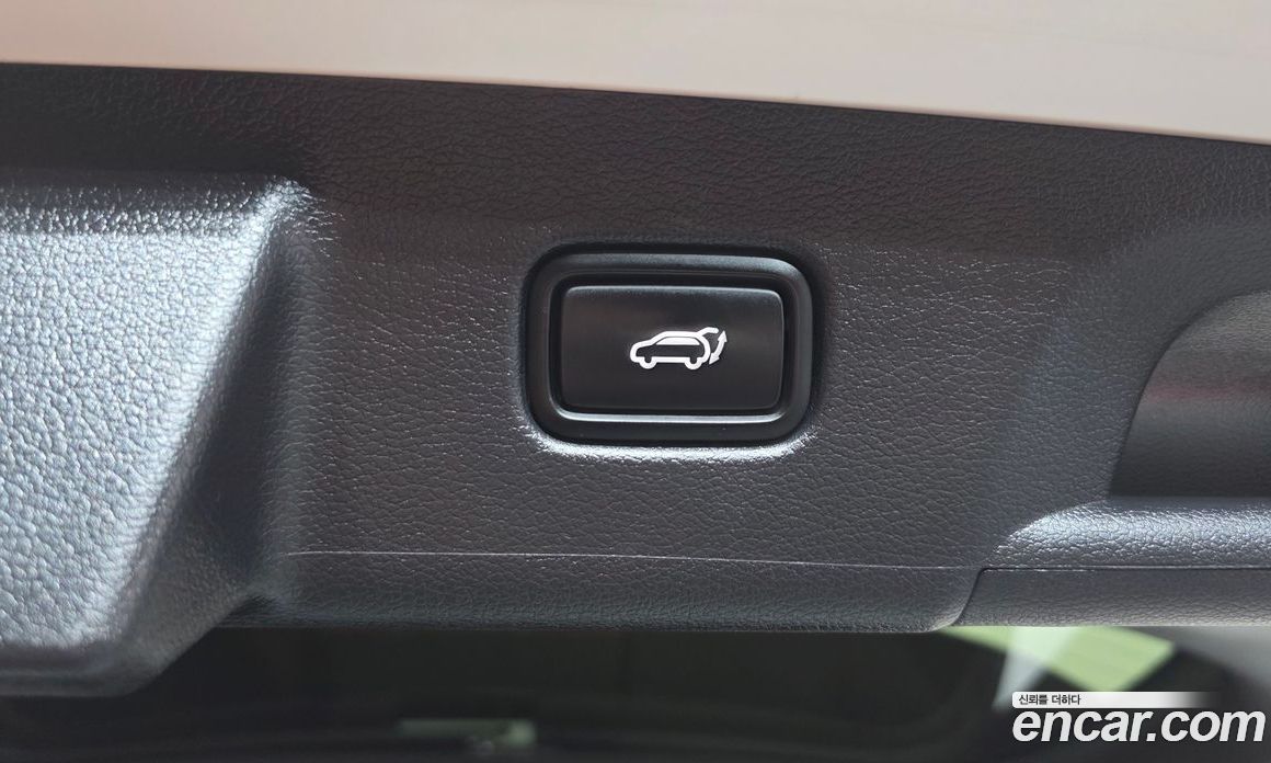 Hyundai Palisade 1st Gen фото 30