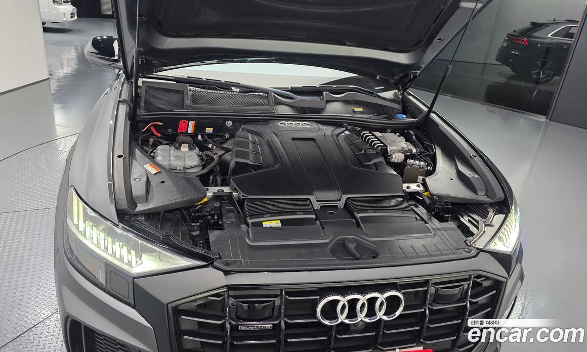 Audi Q8 (4M) фото 6