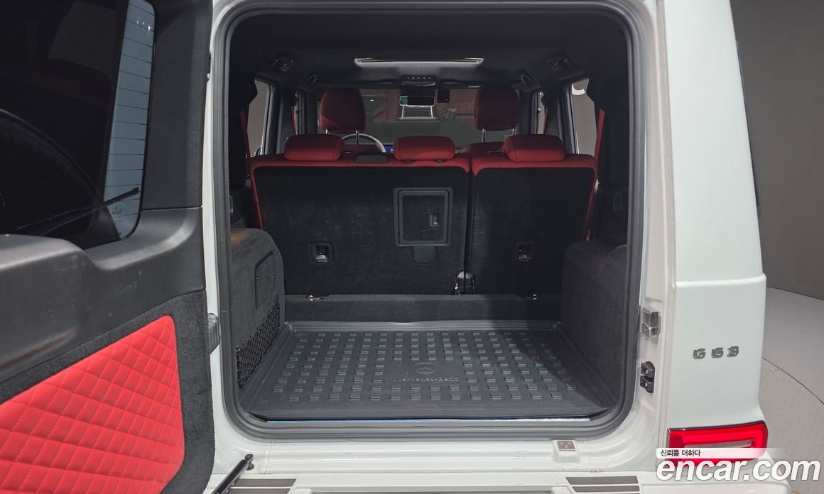 Mercedes-Benz G-Class W463b фото 20