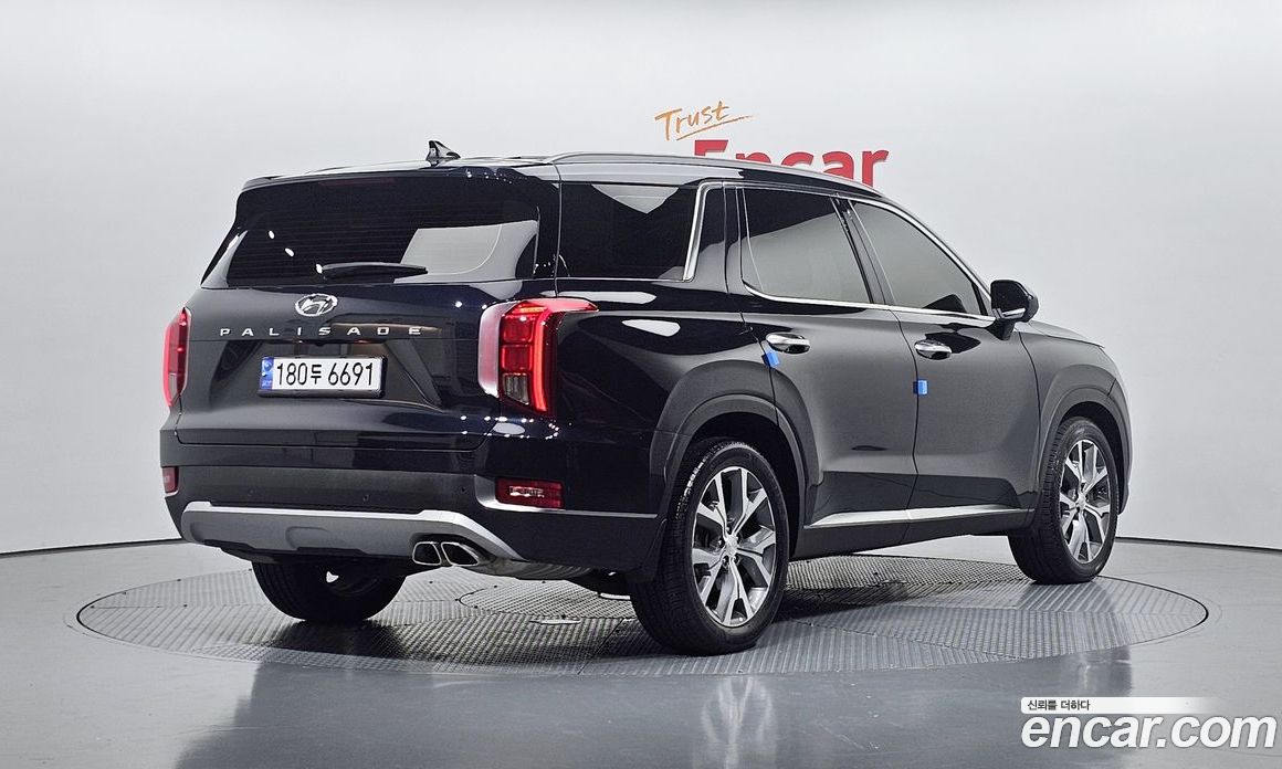 Hyundai Palisade 1st Gen фото 2